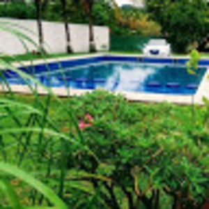 Meet your Posher, Omar